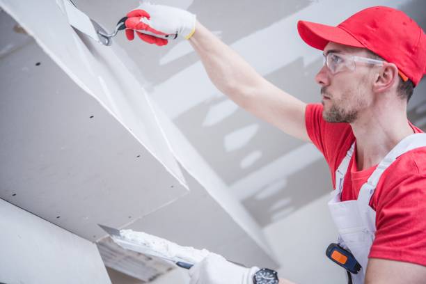 Best Drywall Removal and Disposal  in Goulds, FL